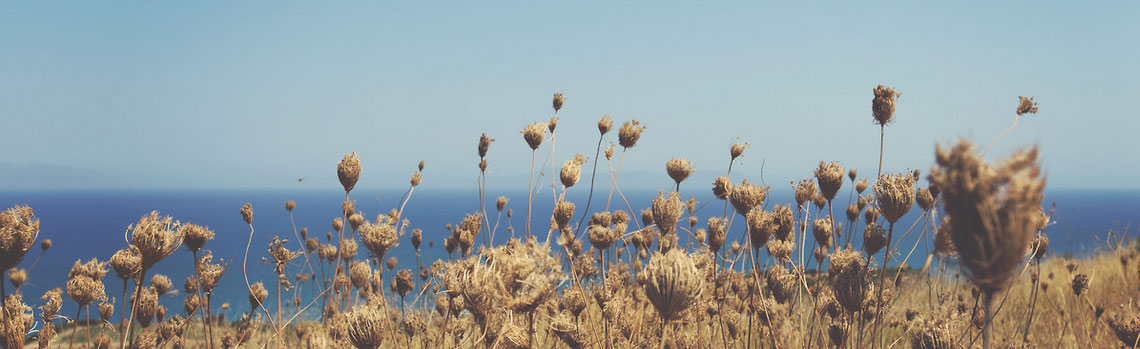 呼死你软件下载